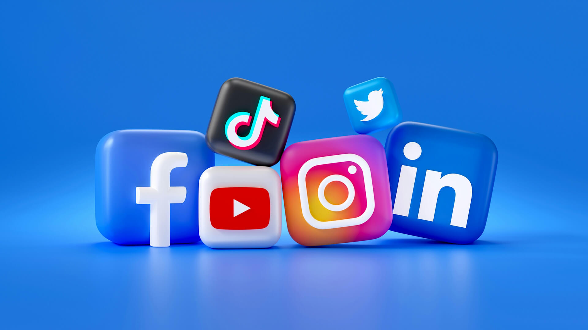 Brand Promotion and Marketing Support